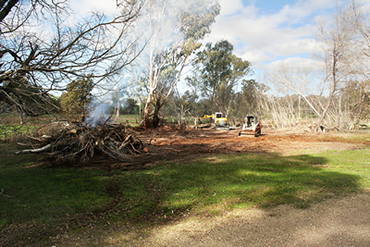 clearing the site